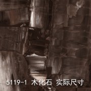 5119-1（木化石）大理石