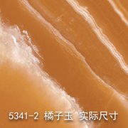5341-2（橘子花开）橘子玉