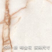 5231-原（金蜘蛛）大理石