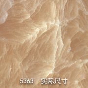 5363-原（芳草菲菲）黄冰花