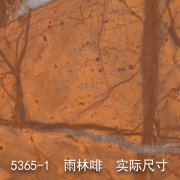 5365-1（热带雨林）雨林啡