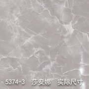 5374-3（玉溪海岸）莎安娜