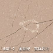 5401-2（金粉世家）金世纪