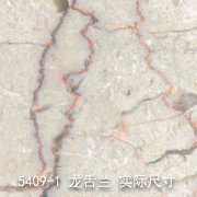5409-1（幽谷雅兰）龙舌兰